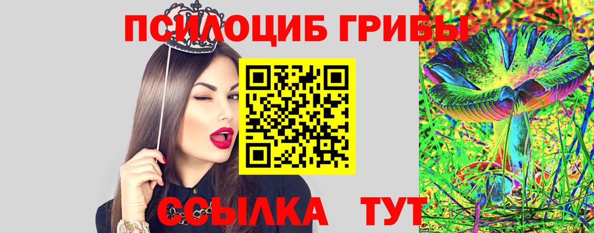 Галлюциногенные грибы Psilocybe Донецк