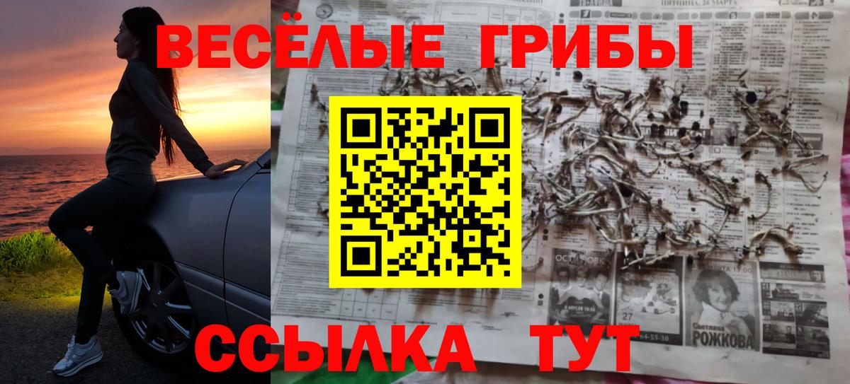 Галлюциногенные грибы мицелий  Вход с VPN  Донецк 